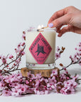Wild Cherry - cherry blossom, yuzu, jasmine tea
