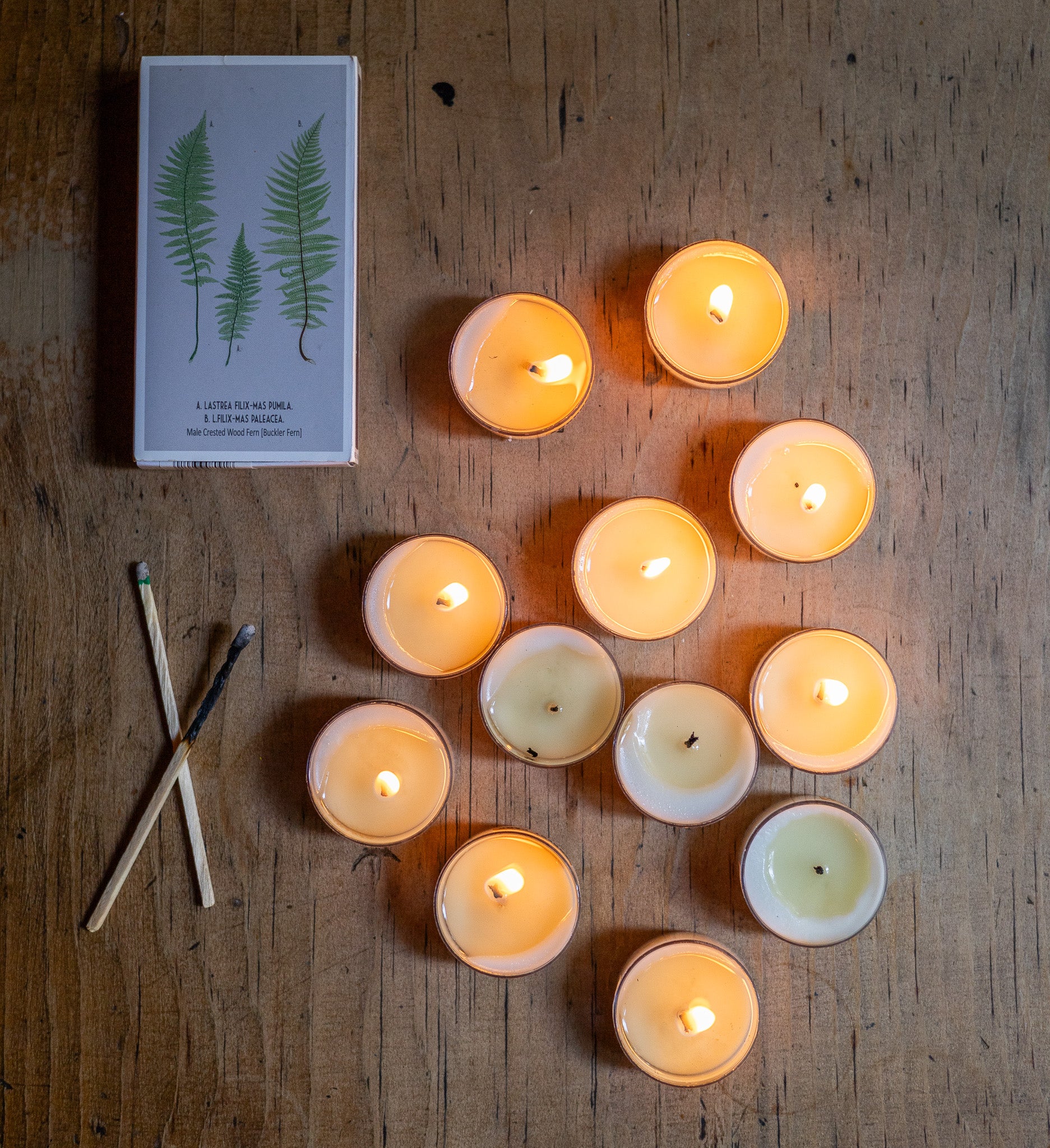 Wildwood Candle Co. Tealight Candle Discovery Set of 12 Tealights