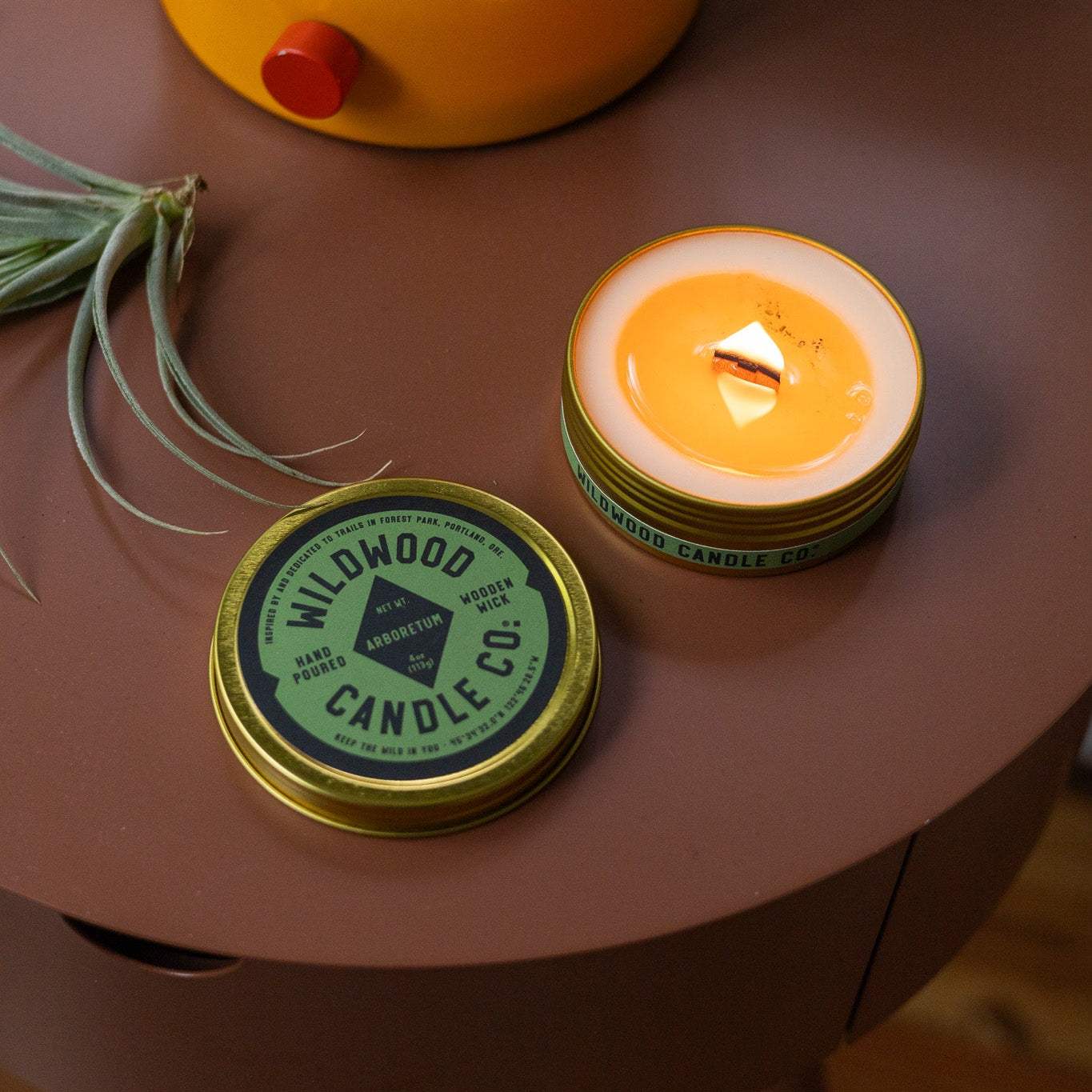 Lit Arboretum travel candle made by Wildwood Candle Co. on a side table