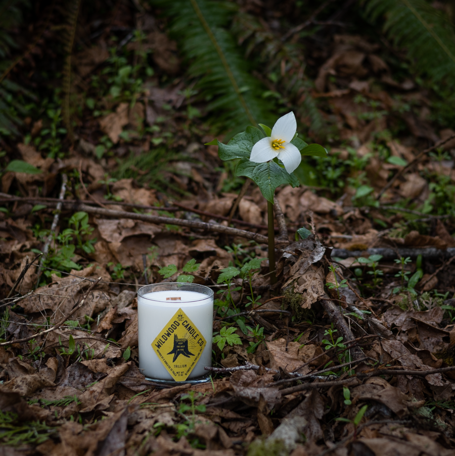 Trillium Candle - lily of the valley, petrichor